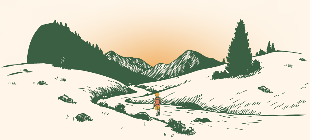 contact-kamino-image